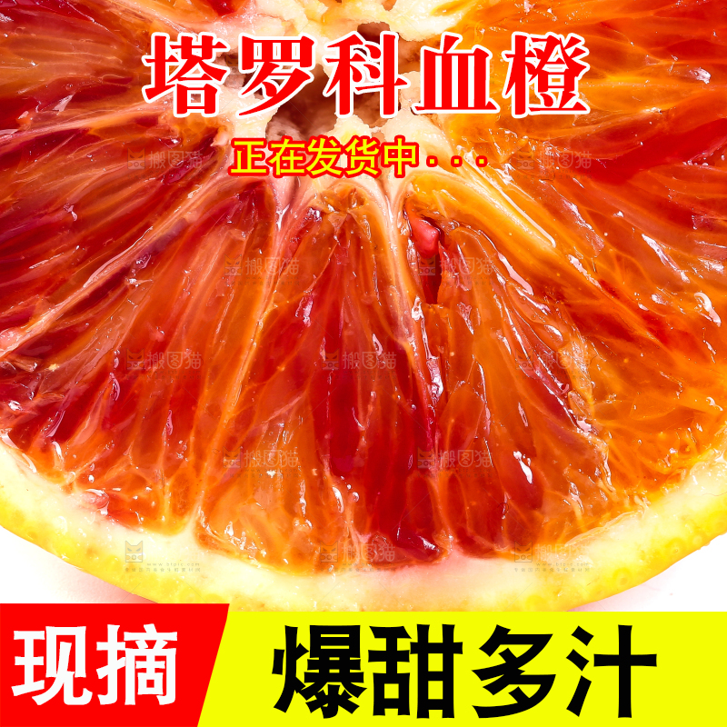 白底上的玫瑰血橙