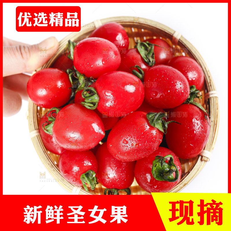手里拿着一篮圣女果