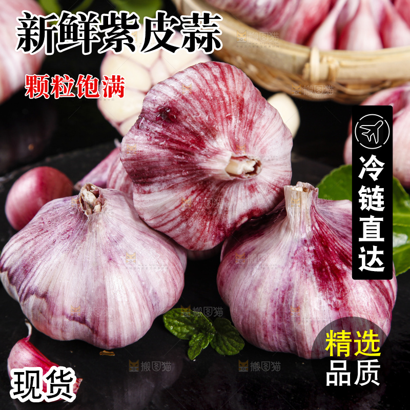 黑底上放着紫皮多瓣大蒜