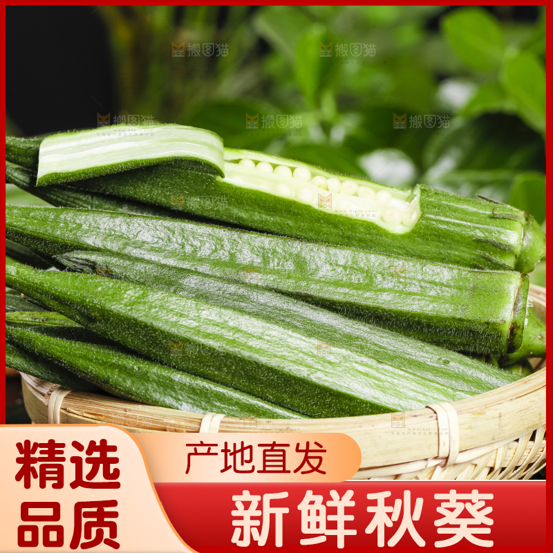 篮子里装着鲜嫩秋葵