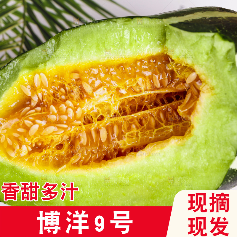 浅底上放着博洋香瓜