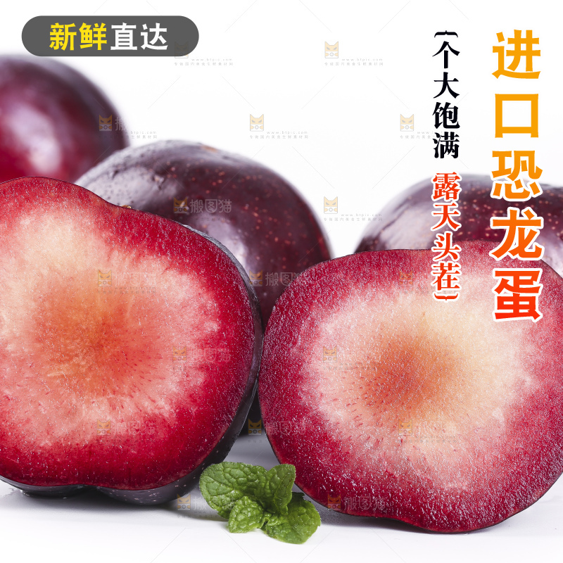 白底上摆放着恐龙蛋