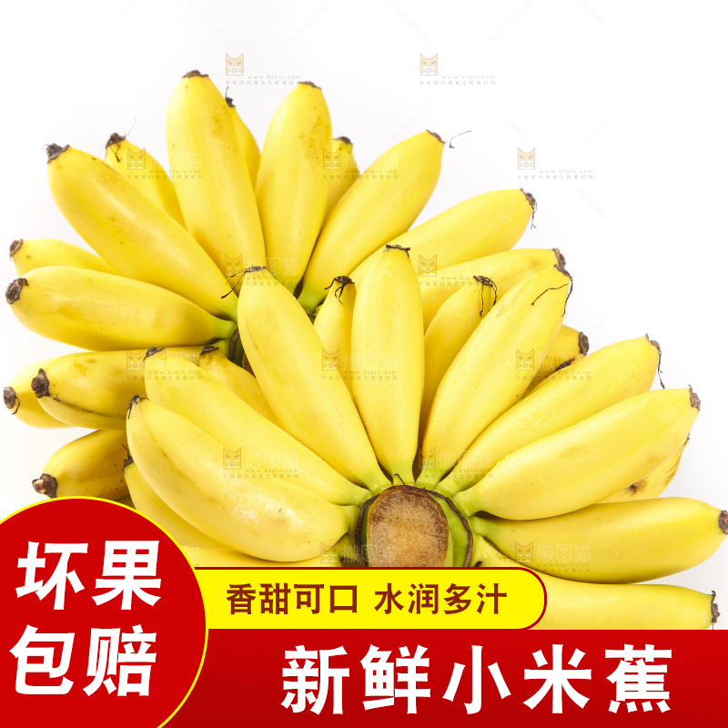 白底上摆放着小米蕉