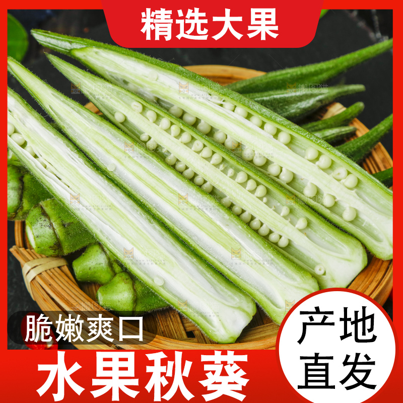 篮子里装着秋葵