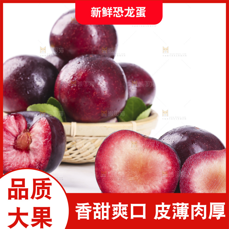 白底上摆放着恐龙蛋