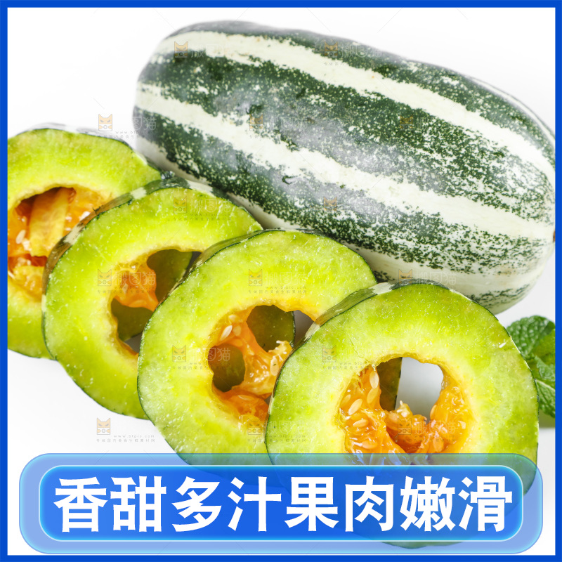 白底上放着山东博洋9号甜瓜