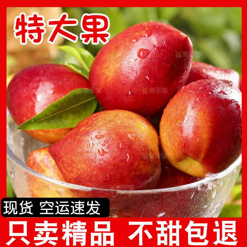 碟子里装着油桃子