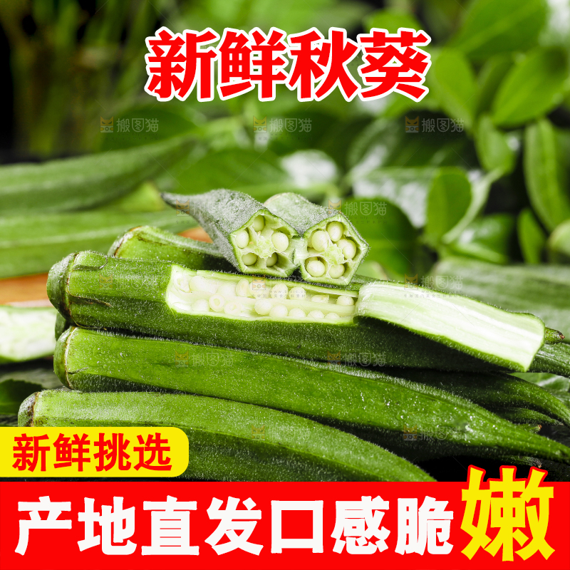 深底上摆放着秋葵