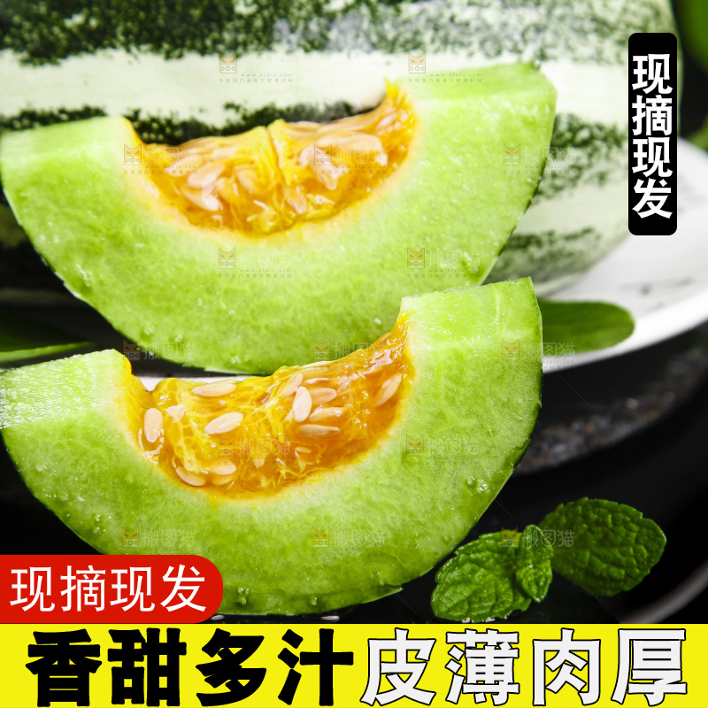 黑底上摆放着博洋9号甜瓜
