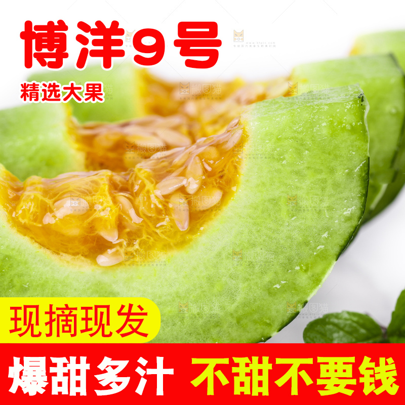 白底上放着博洋甜瓜