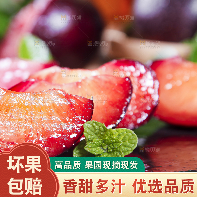 深底上摆放着恐龙蛋李