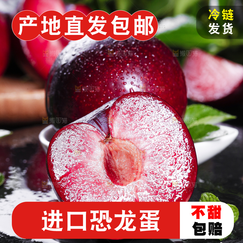 黑底上摆放着智利进口恐龙蛋