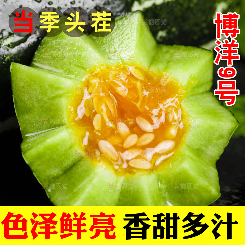黑底上放着新鲜博洋9号甜瓜