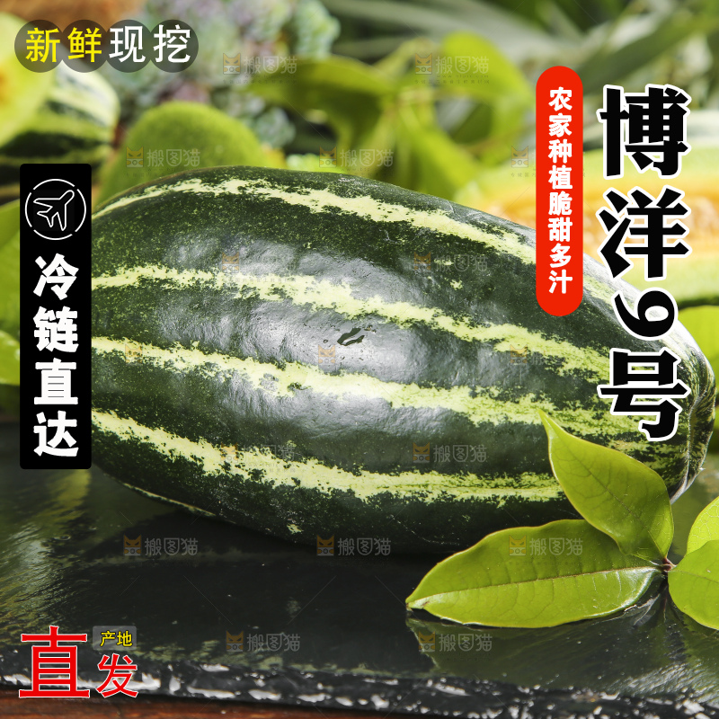 黑底上摆放着博洋香瓜