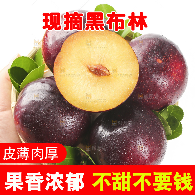 手里拿着一盘黑布朗