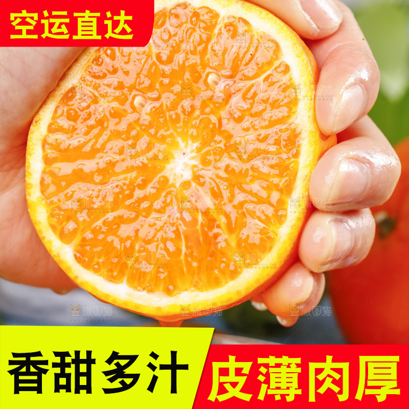手里拿着沃柑