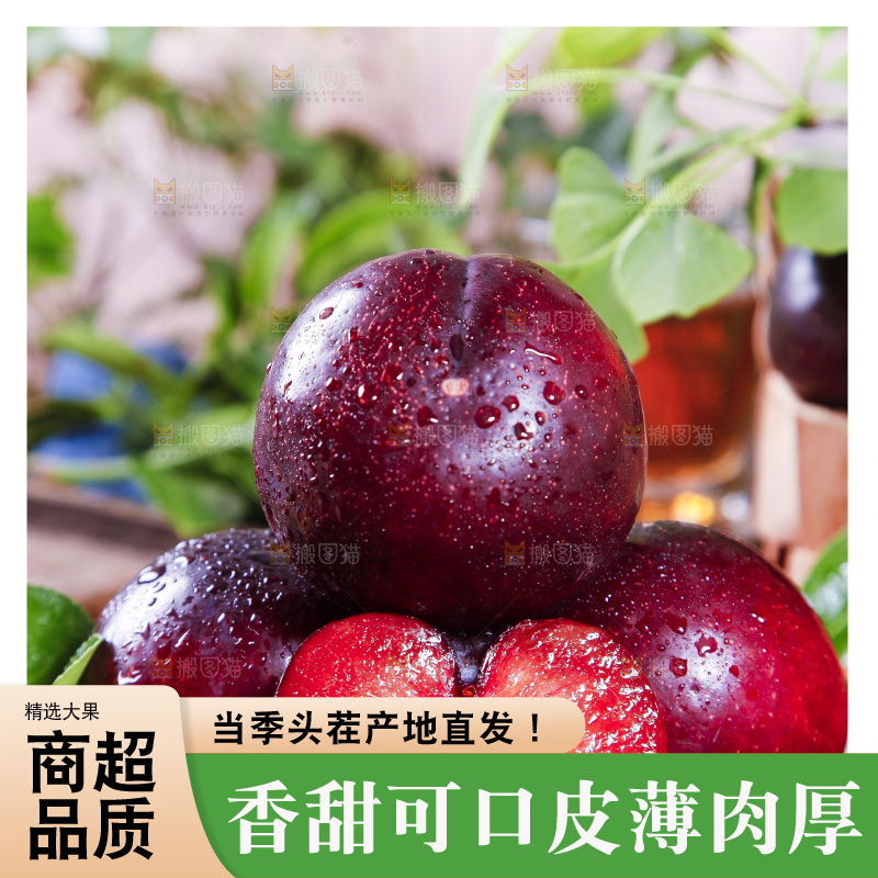 深底上摆放着恐龙蛋李
