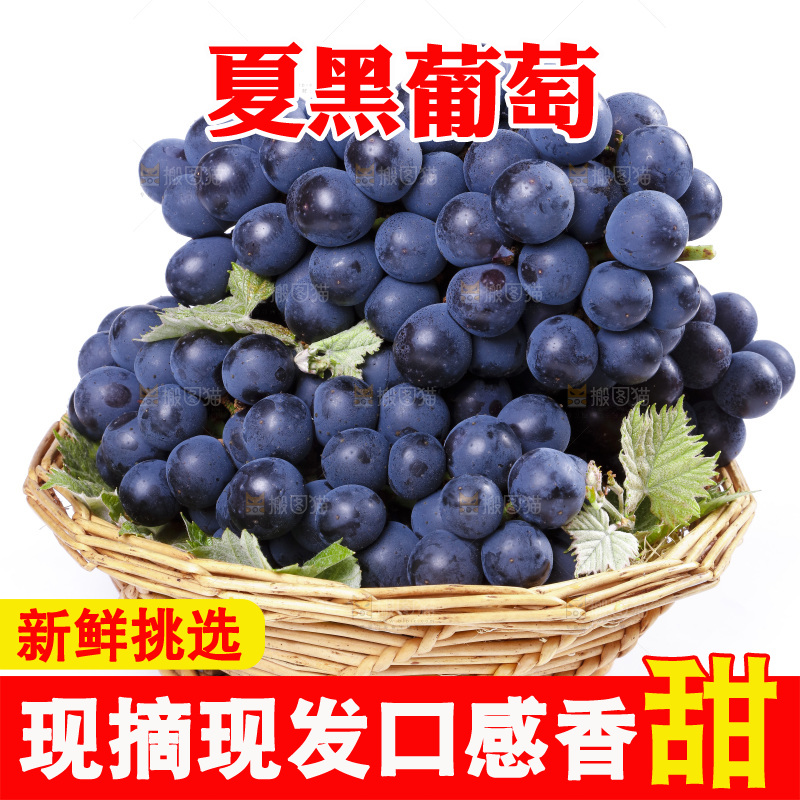 篮子里装着夏黑葡萄