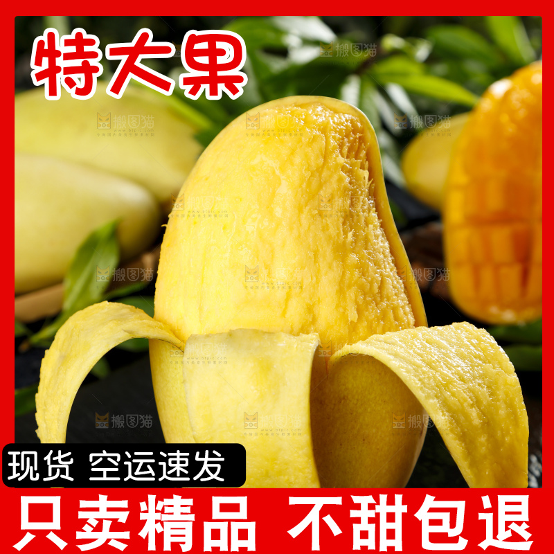 黑底上放着玉芒