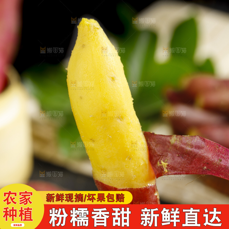 手里拿着小番薯