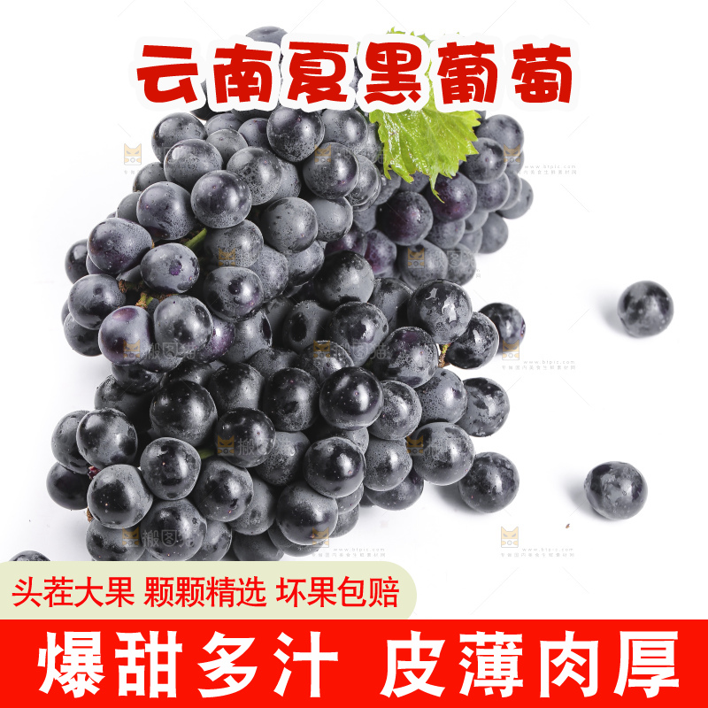 白底上放着夏黑葡萄