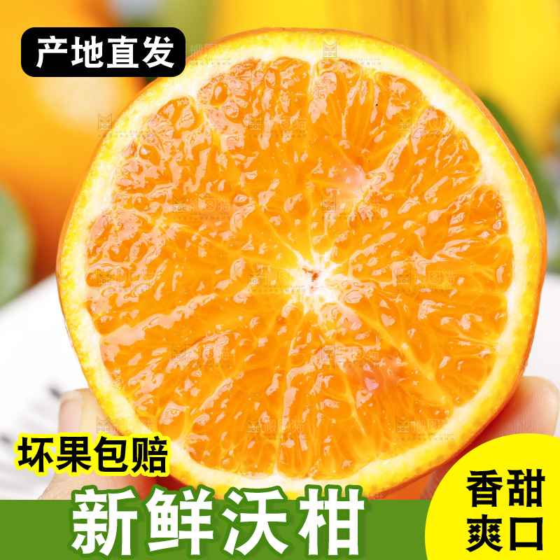 手里拿着沃柑
