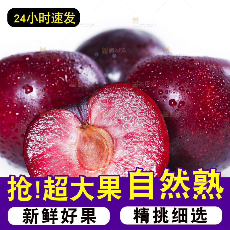 白底上摆放着新鲜恐龙蛋李