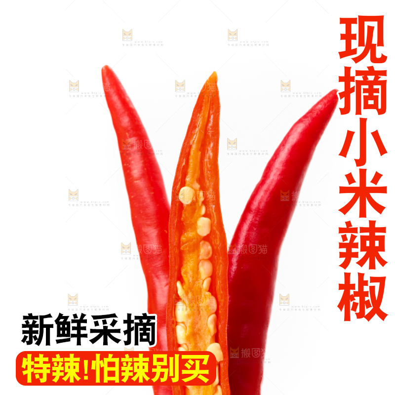 白底上摆放着小米椒