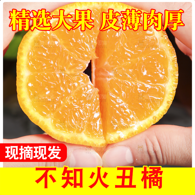 手里拿着不知火柑橘