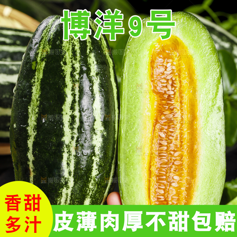 手里拿着花皮甜瓜