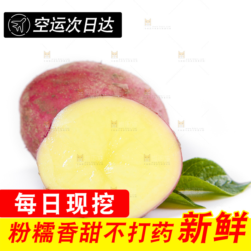 白底上摆放着红皮黄心土豆
