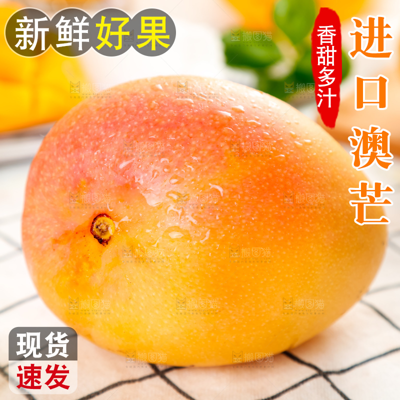 格子底上摆放着澳芒