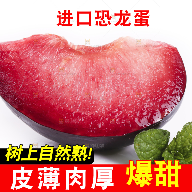 白底上放着智利进口恐龙蛋