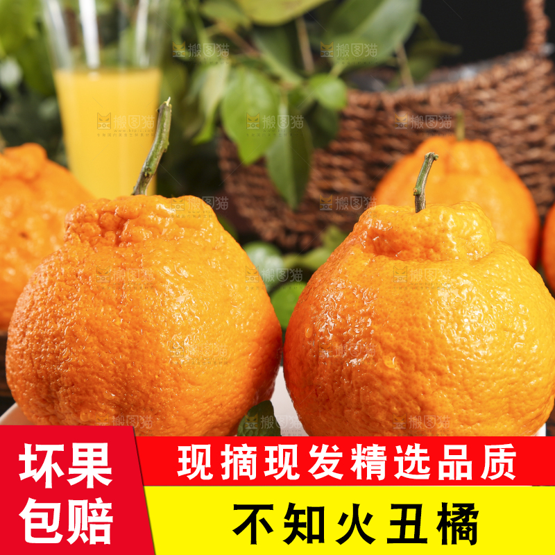 盘子里装着不知火丑橘