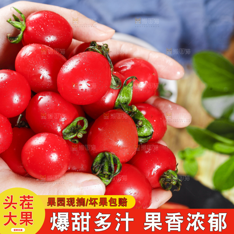 手里捧着圣女果