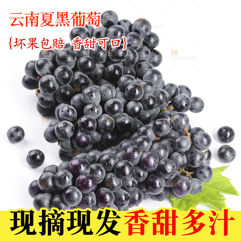白底上摆放着黑加仑葡萄