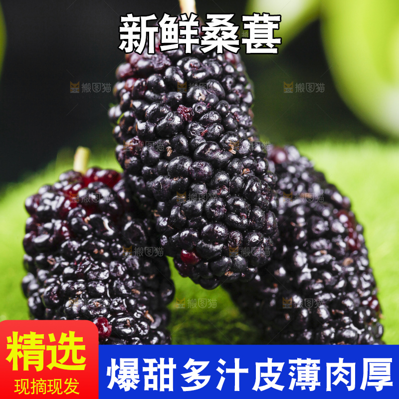 绿草地上摆放着桑葚