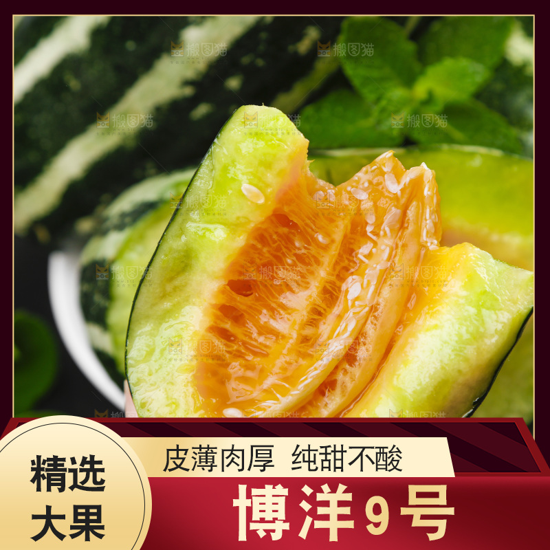 手里拿着美洋甜瓜