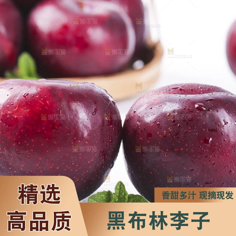 白底上放着黑布林