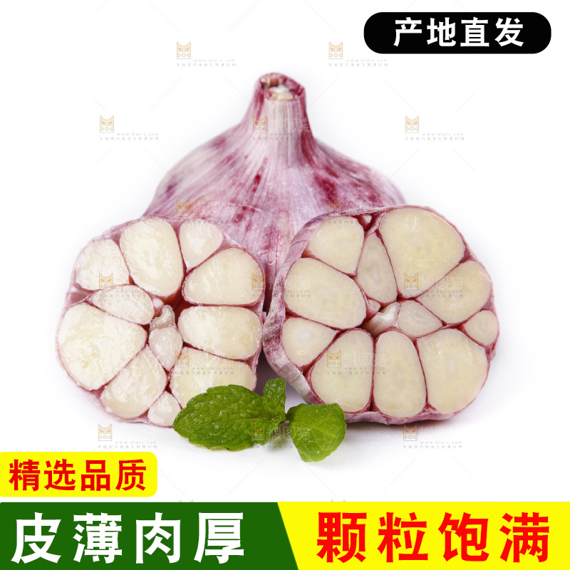 白底上放着紫皮多瓣大蒜