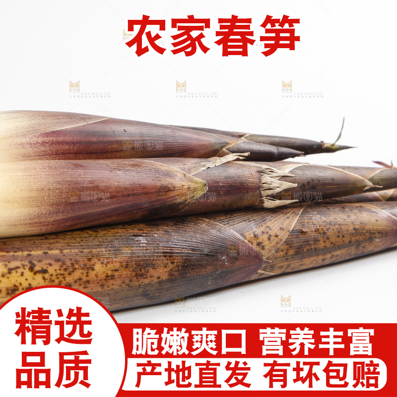 白底上摆放着春雷笋