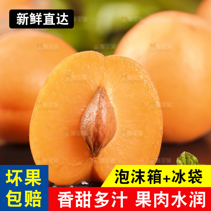 黑底上摆放着陕西大黄杏