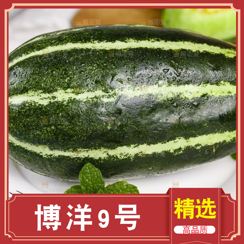 盘子里装着美洋甜瓜