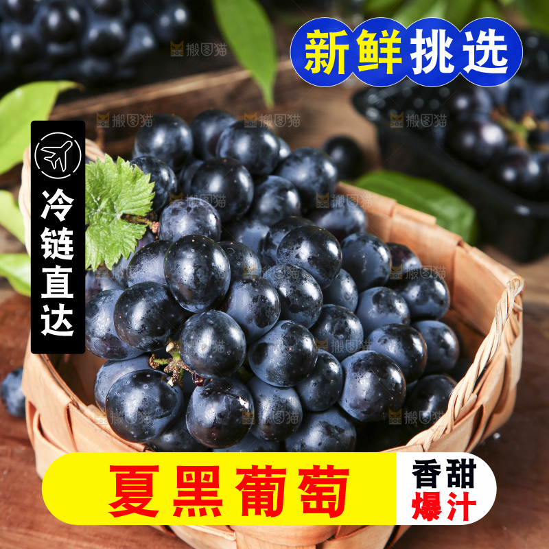 篮子里装着黑加仑葡萄