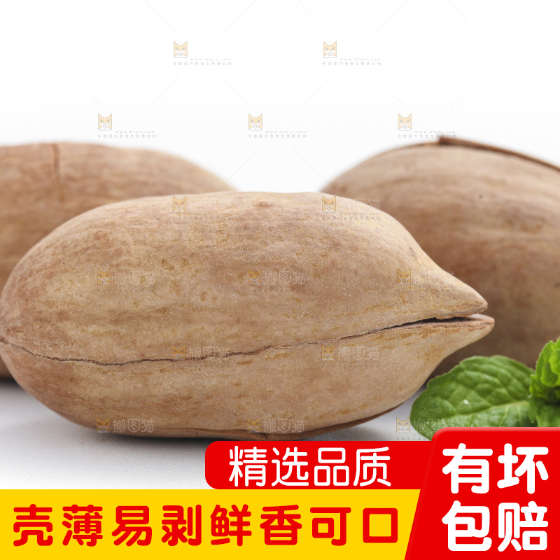 白底上放着山核桃