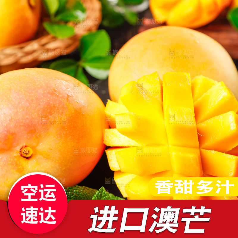 黑底上摆放着澳芒