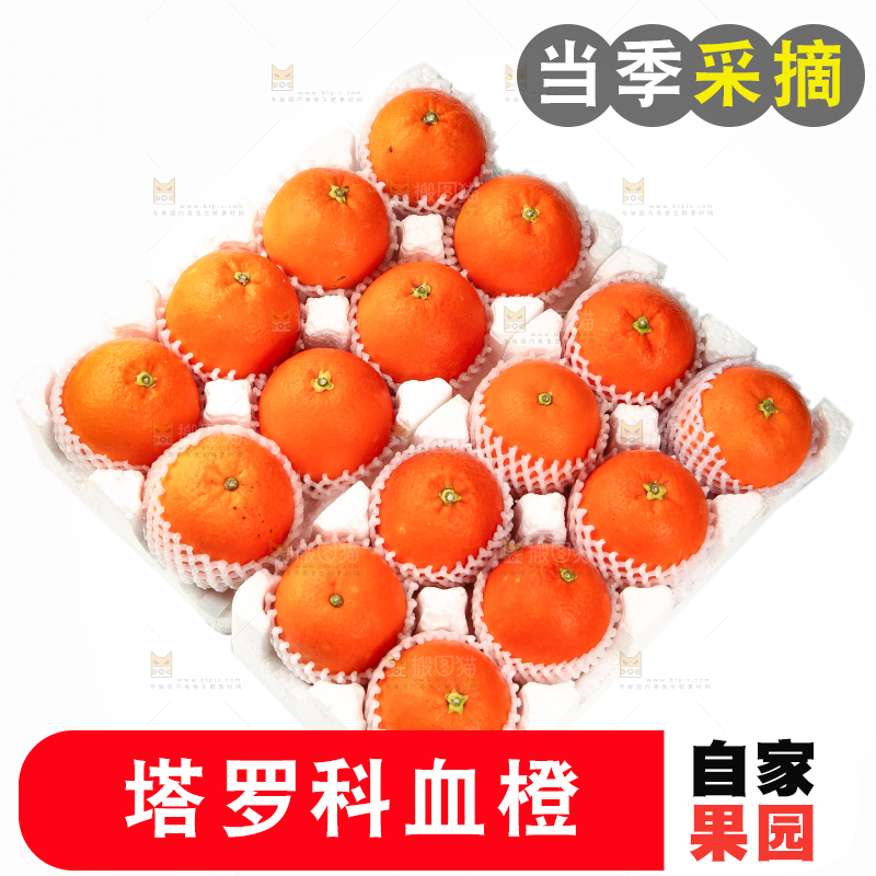 整齐摆放着的塔罗科血橙