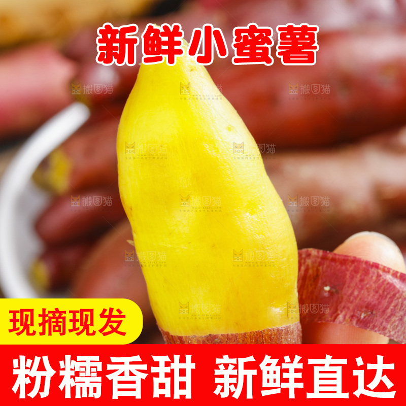 手里拿着小香薯