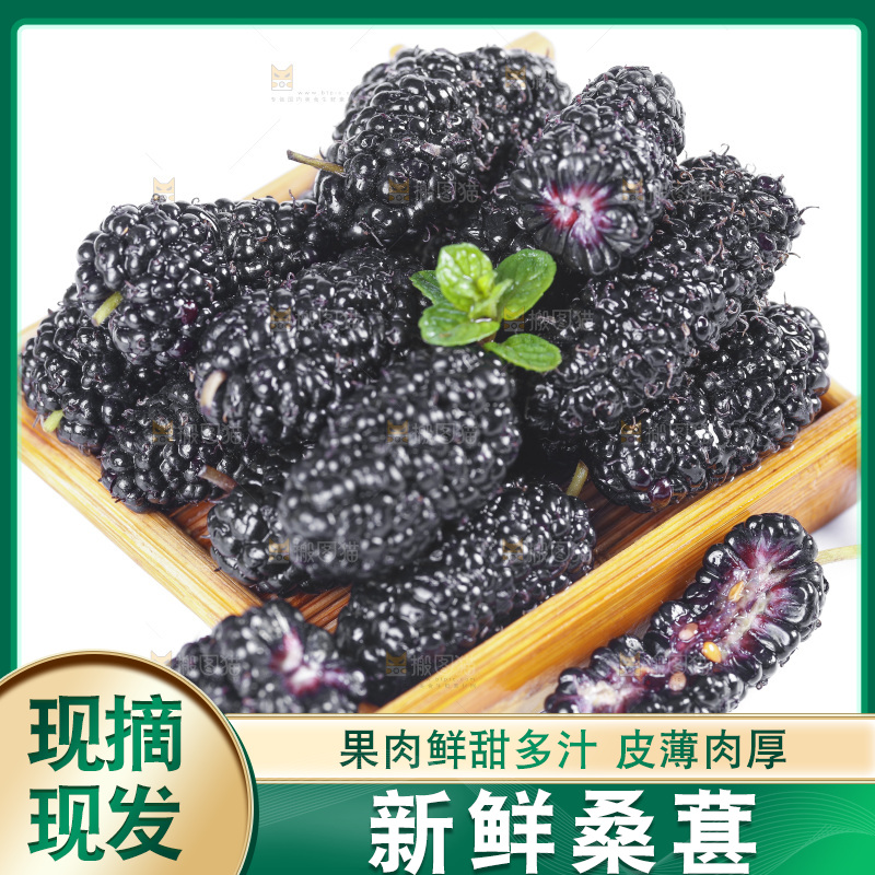 木盒里装着桑葚子