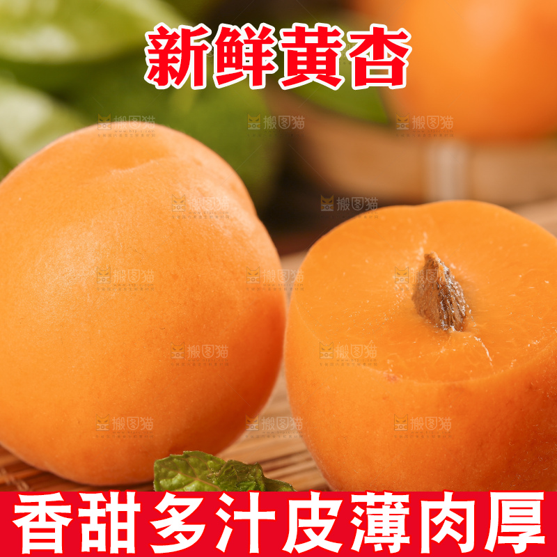 木底上放着山东大黄杏